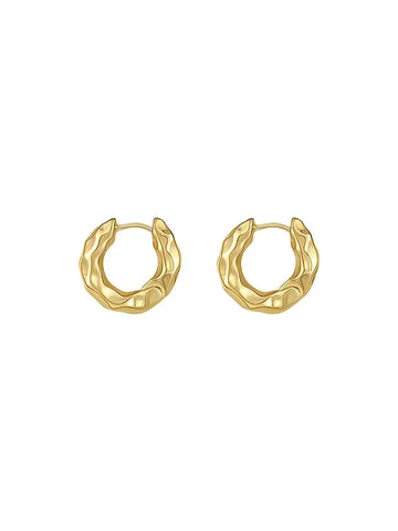 Trendy 925 Sterling Silver Hoop Earrings for Women