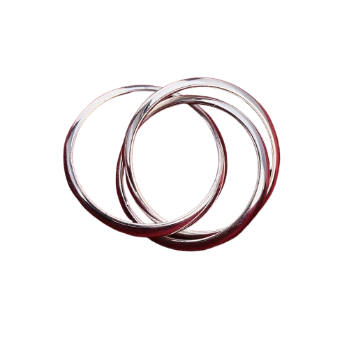 925 Sterling Silver Triple Round Ring for Women – Elegant Fine Jewelry