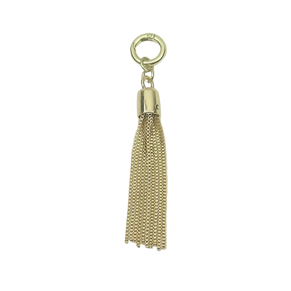 Fashion Brand Metal Decoration Buckle Tassel Pendant Keychain for Handbag Bag Purse Hardware Accessories DIY Crafts Decor Tassel