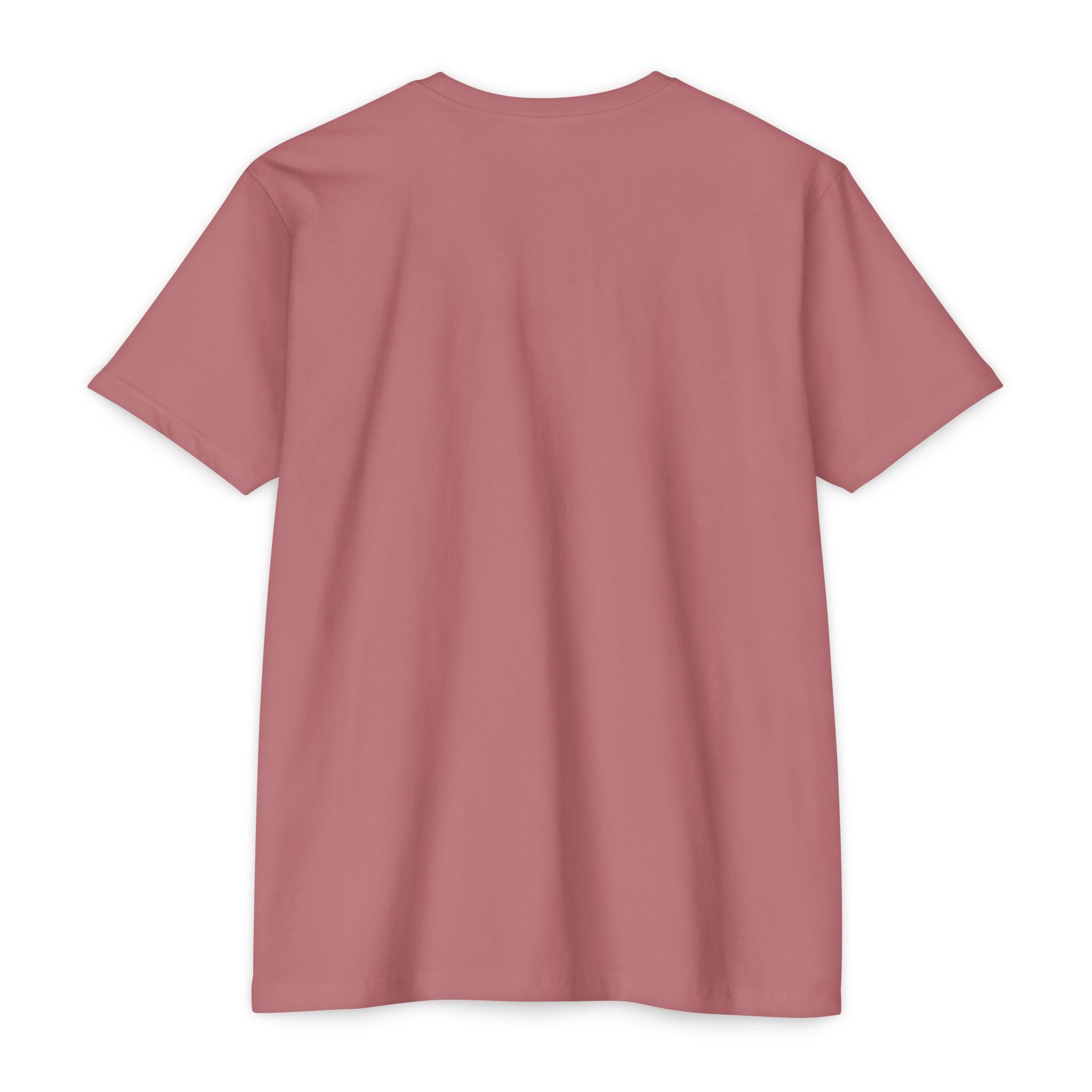 Just a Girl Who Loves Red Pandas T-Shirt — Cute Red Panda Tee for Women