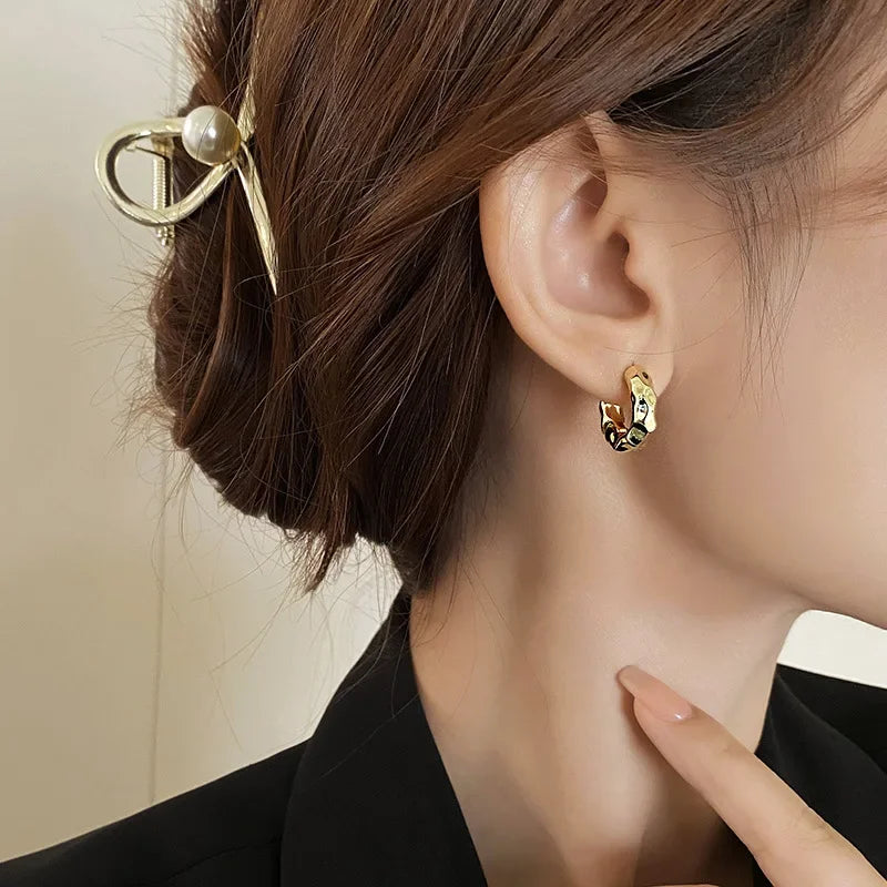 Trendy 925 Sterling Silver Hoop Earrings for Women