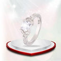 Exquisite Women's Zircon Wedding Ring 925 Sterling Silver