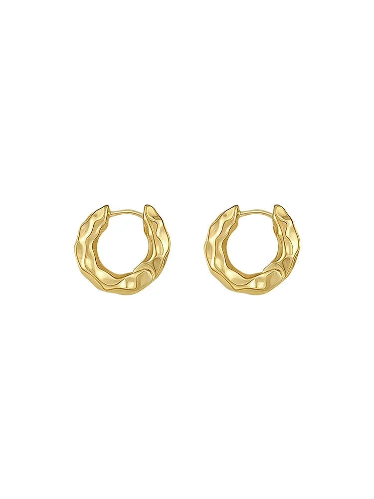 Trendy 925 Sterling Silver Hoop Earrings for Women