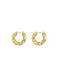 Trendy 925 Sterling Silver Hoop Earrings for Women