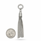 Tassel Keychain Charm – Chic Metal Buckle Bag Accent